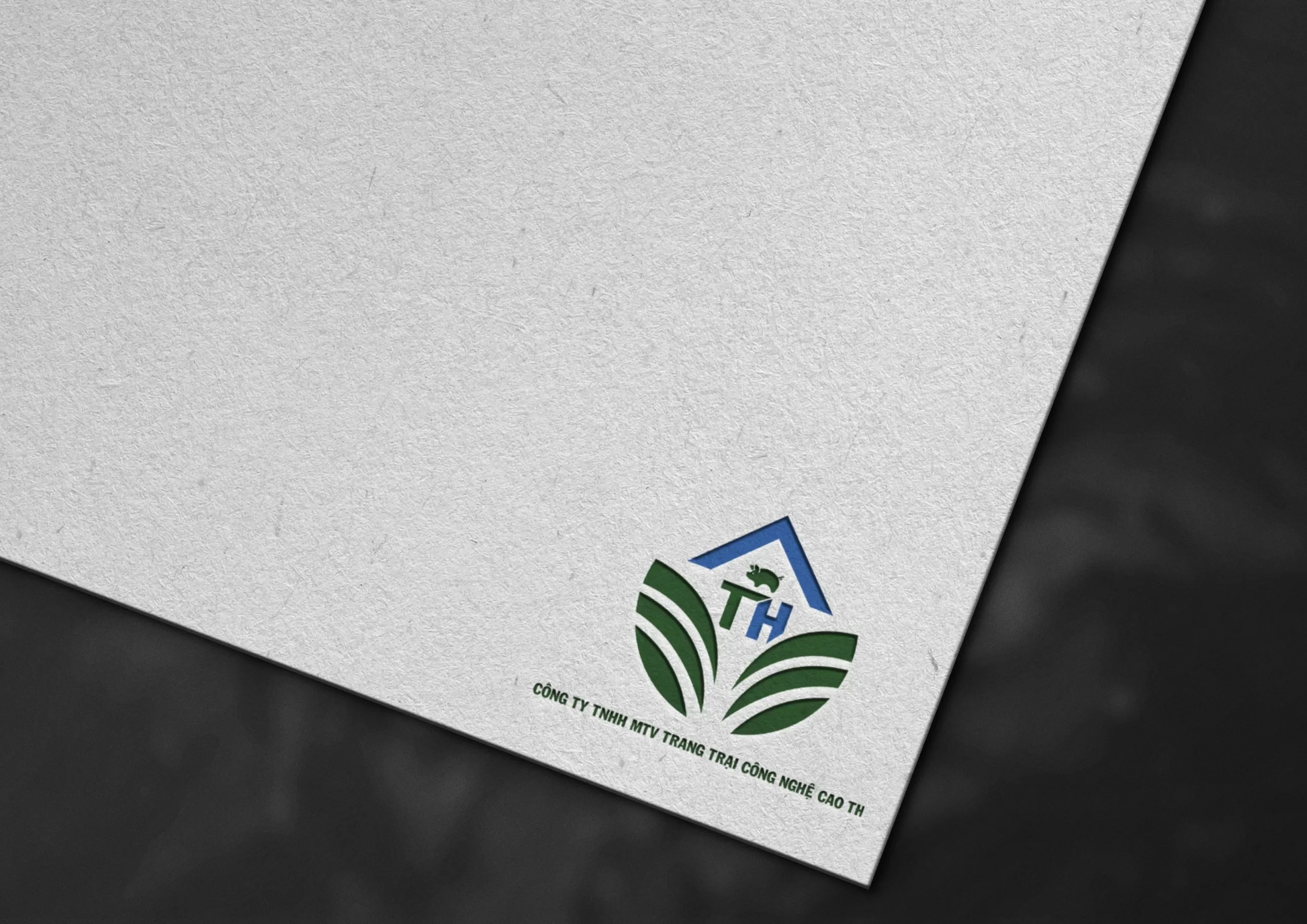 logo5