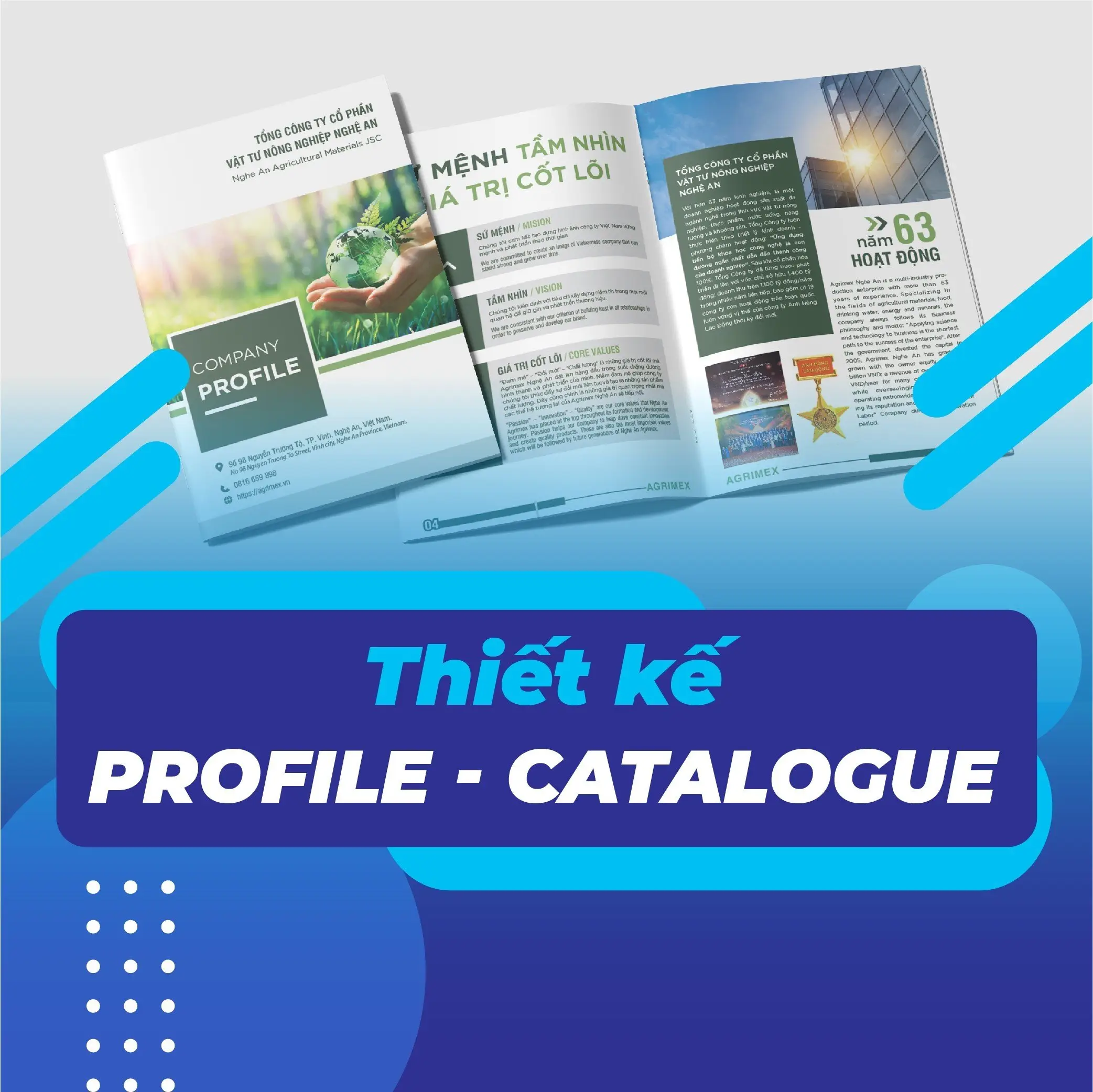 Thiết kế Profile, Catalogue
